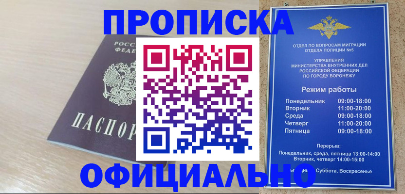 прописка в квартире в Шатуре